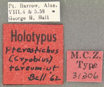 Media type: image;   Entomology 31306 Aspect: labels